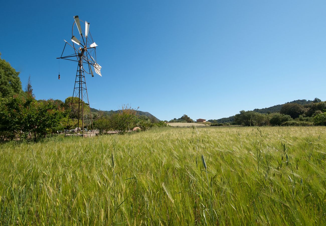 Villa in Pollensa / Pollença - Hort Den Gelos