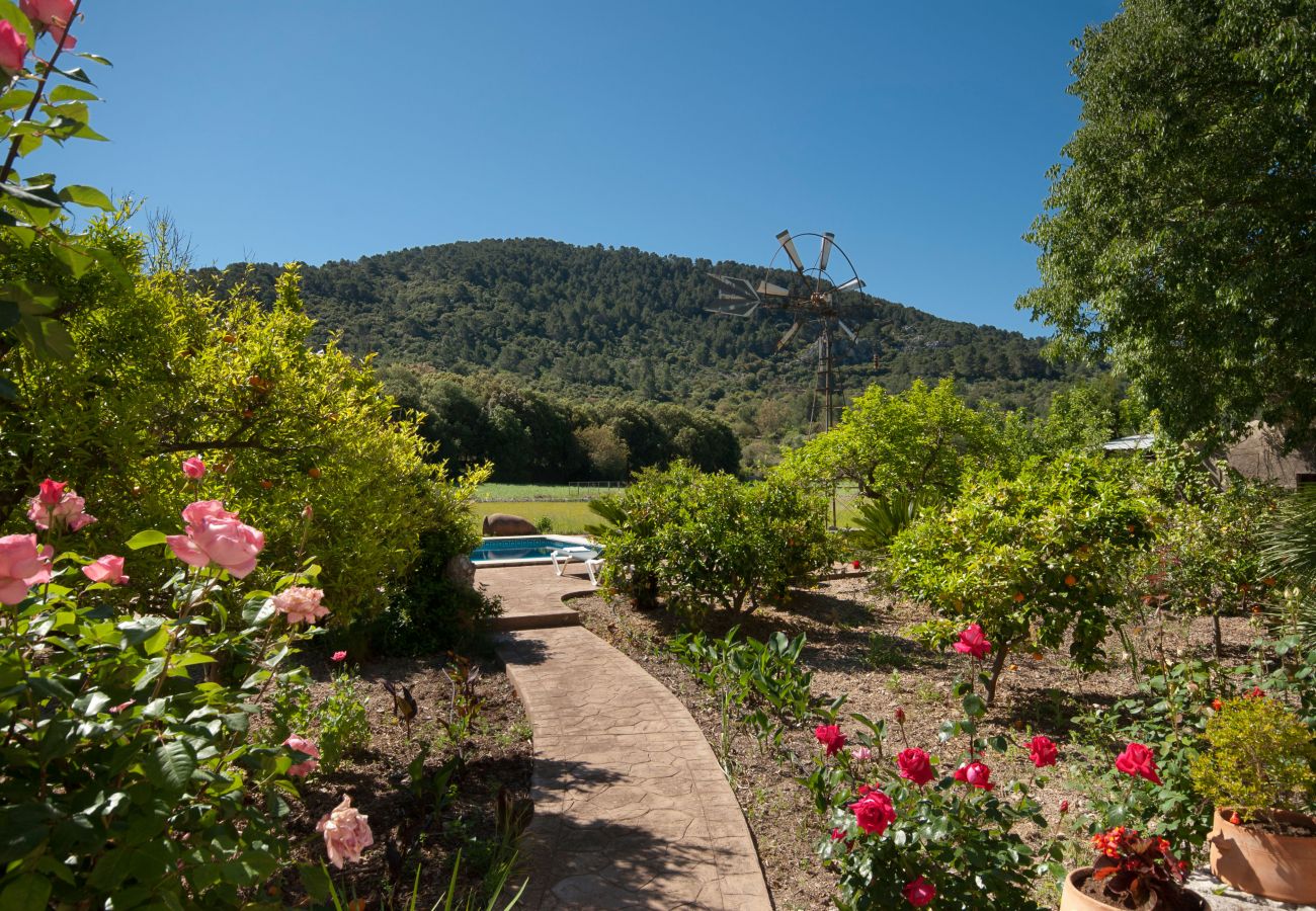 Villa in Pollensa / Pollença - Hort Den Gelos