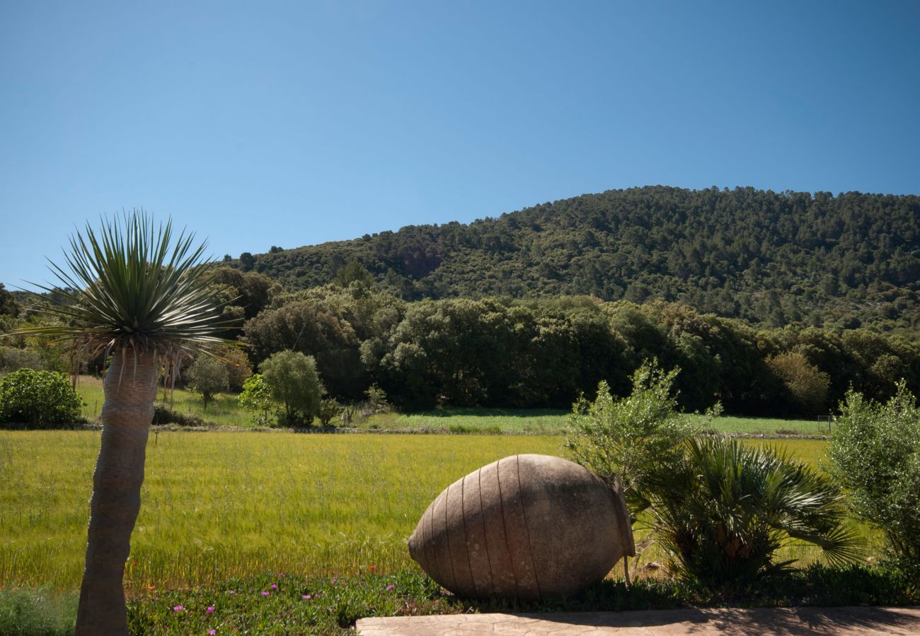 Villa in Pollensa / Pollença - Hort Den Gelos