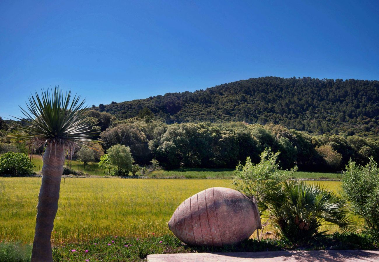 Villa in Pollensa / Pollença - Hort Den Gelos