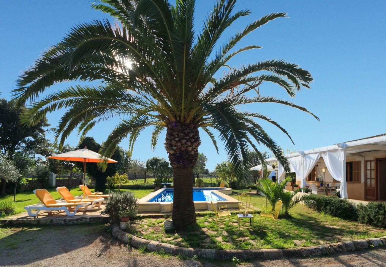 Villa in Santa Margalida - Cana Joana