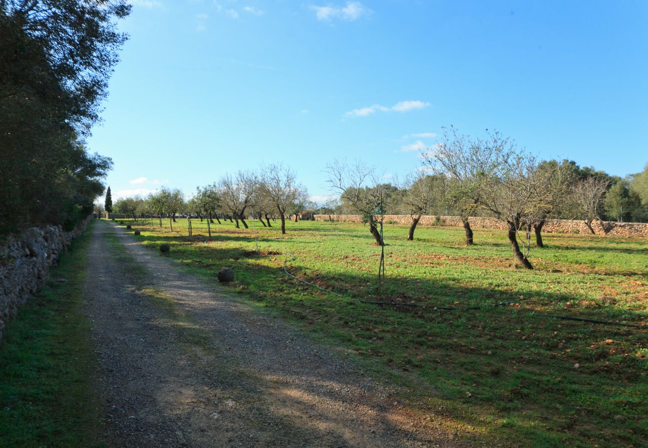 Villa in Santa Margalida - Cana Joana