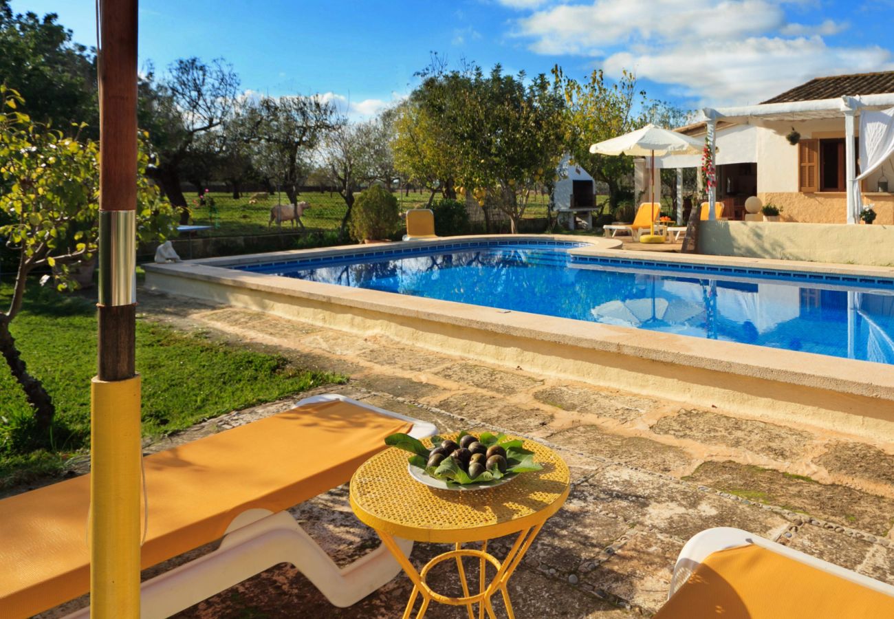 Villa in Santa Margalida - Cana Joana