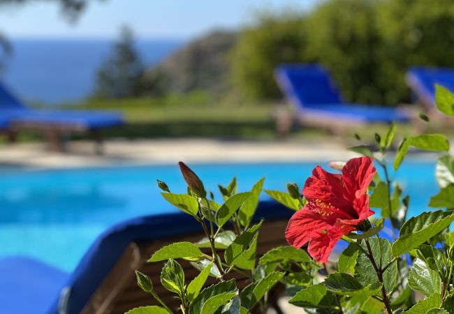 Villa in Spartia - Villa Anemos Villa in Spartia - Villa Anemos