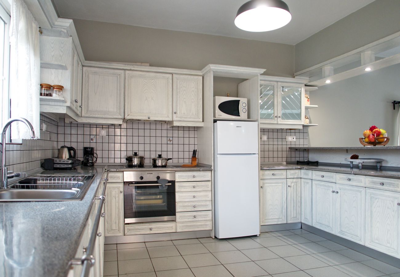 Apostolis Beach House, kitchen