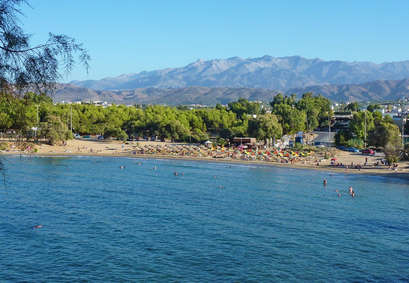 Iguana Beach Crete