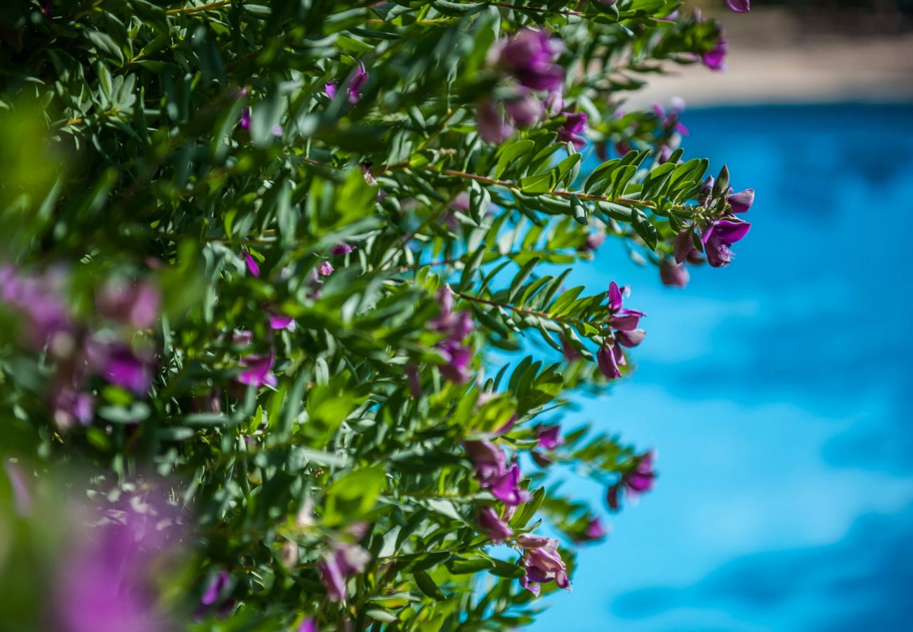 Villa in Tavronitis - Villa Andreas