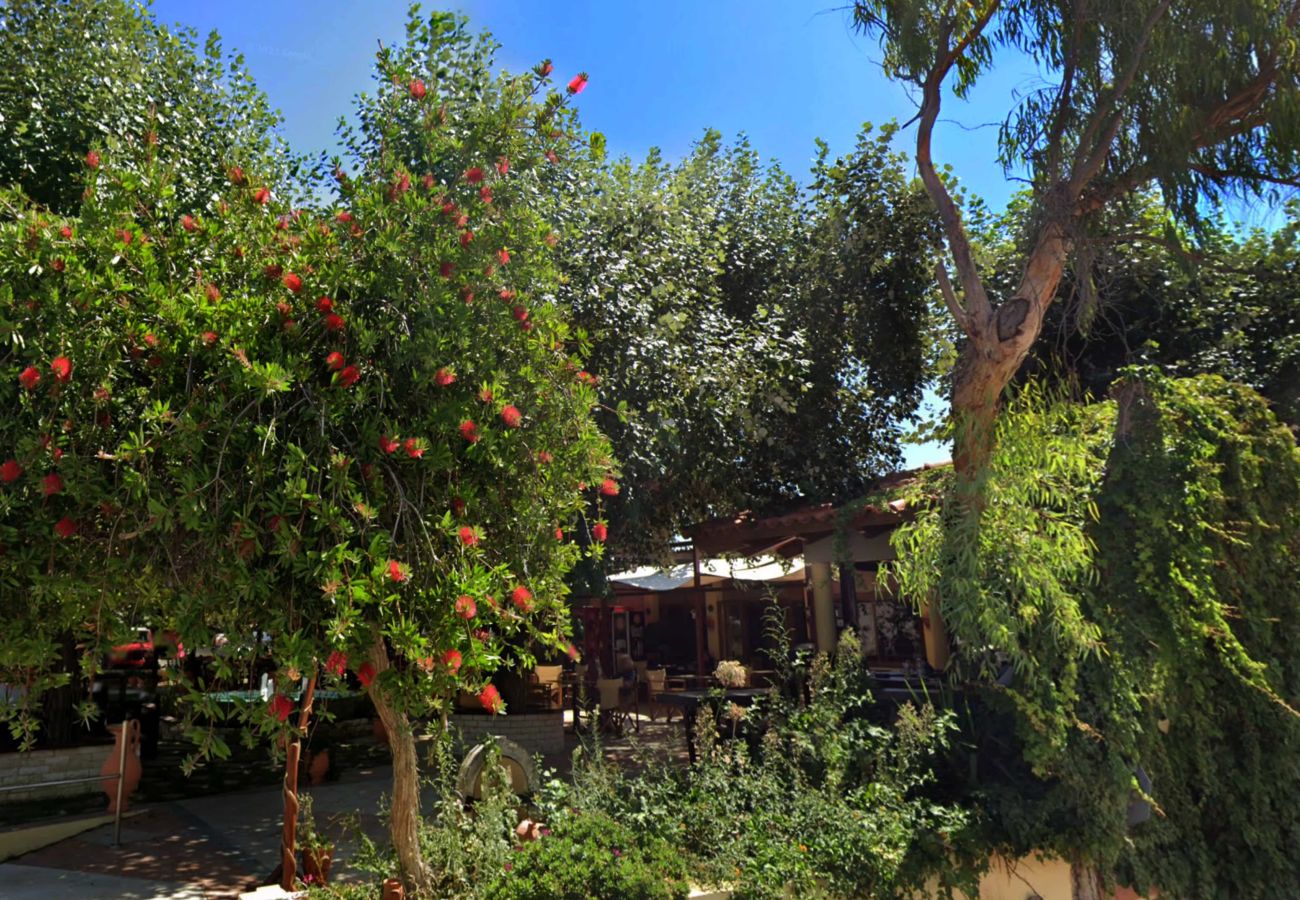 Villa in Tavronitis - Villa Andreas