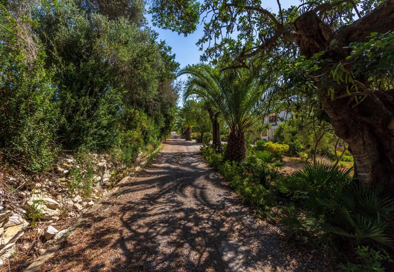 Villa in Pollensa / Pollença - Villa Hosta