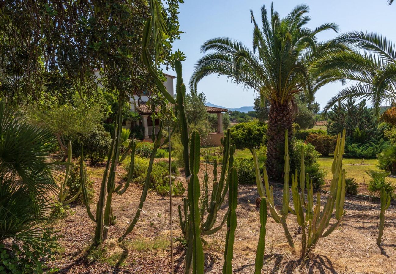 Villa in Pollensa / Pollença - Villa Hosta