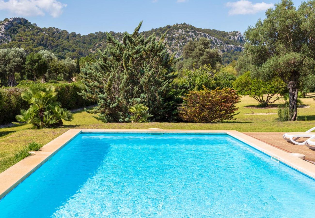 Villa in Pollensa / Pollença - Villa Hosta