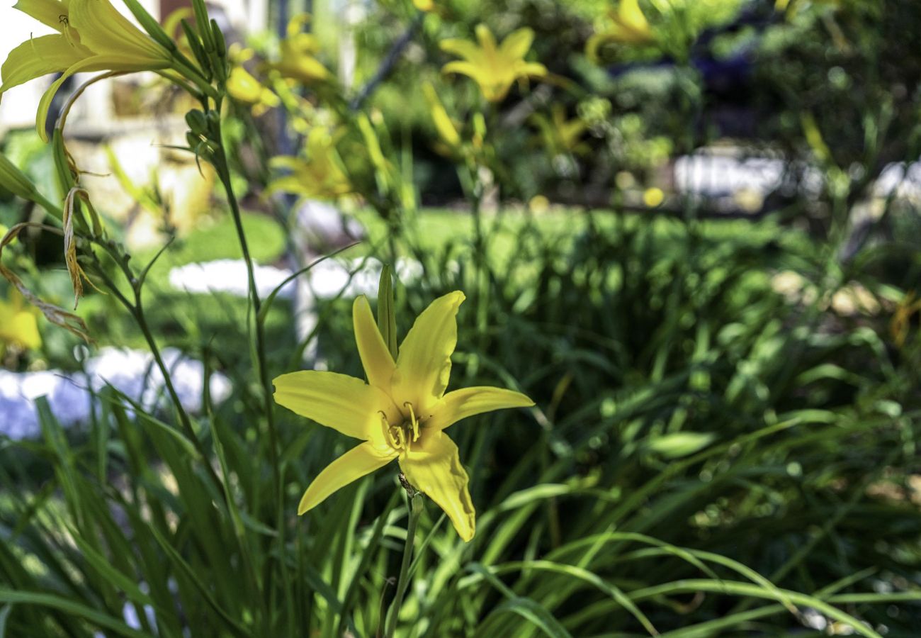 Can Fonxica, garden