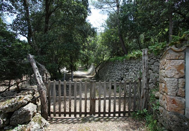 Villa in Pollensa / Pollença - Villa Pascol Villa in Pollensa / Pollença - Villa Pascol