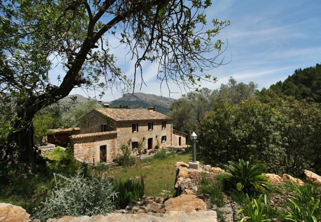 Villa in Pollensa / Pollença - Villa Pascol Villa in Pollensa / Pollença - Villa Pascol