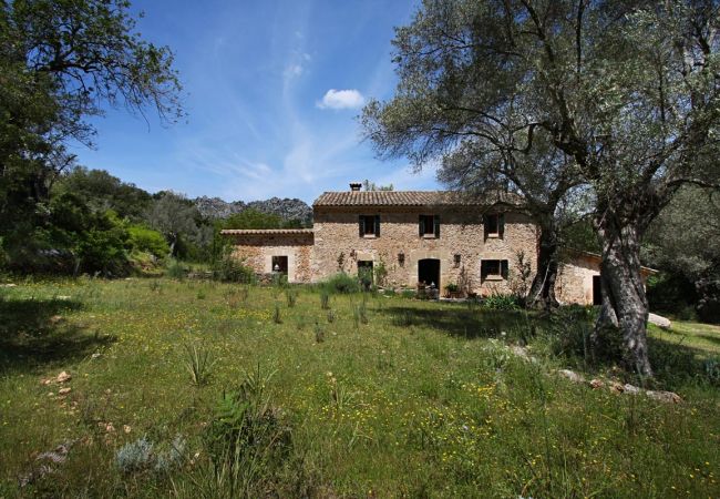 Villa in Pollensa / Pollença - Villa Pascol Villa in Pollensa / Pollença - Villa Pascol