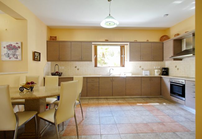 Kitchen of Villa Alexandros 