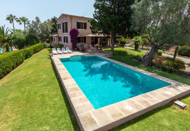 Villa in Port d´Alcudia - Villa Alzina Villa in Port d´Alcudia - Villa Alzina