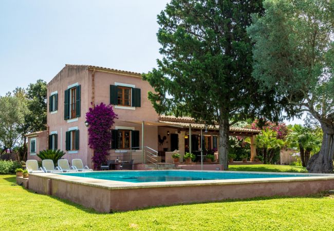 Villa in Port d´Alcudia - Villa Alzina Villa in Port d´Alcudia - Villa Alzina