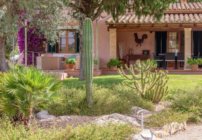 Villa in Port d´Alcudia - Villa Alzina Villa in Port d´Alcudia - Villa Alzina