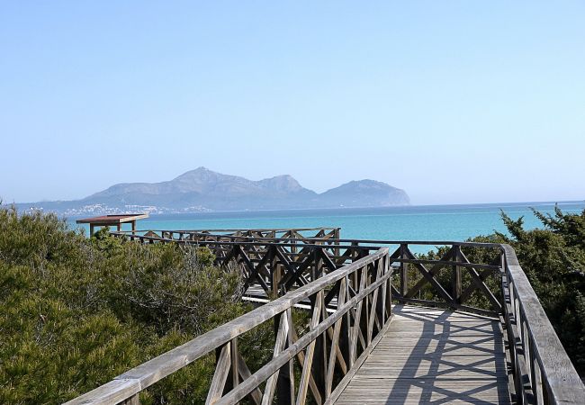 Villa in Port d´Alcudia - Villa Alzina Villa in Port d´Alcudia - Villa Alzina