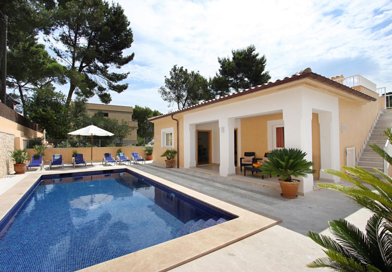 Villa Medina, swimming pool