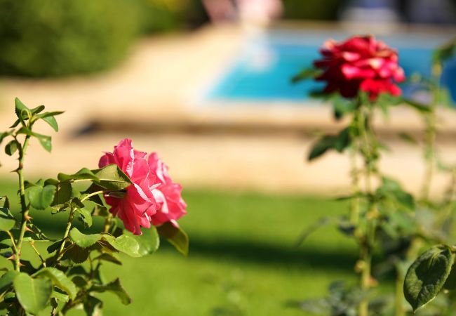 Villa in Pollensa / Pollença - Villa Moreno Villa in Pollensa / Pollença - Villa Moreno