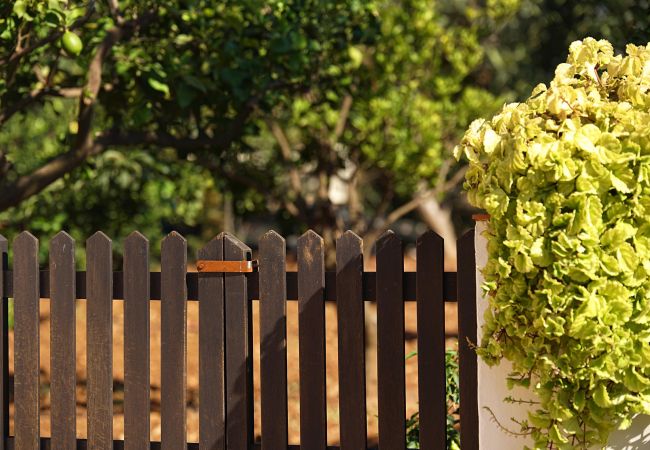 Villa in Pollensa / Pollença - Villa Moreno Villa in Pollensa / Pollença - Villa Moreno