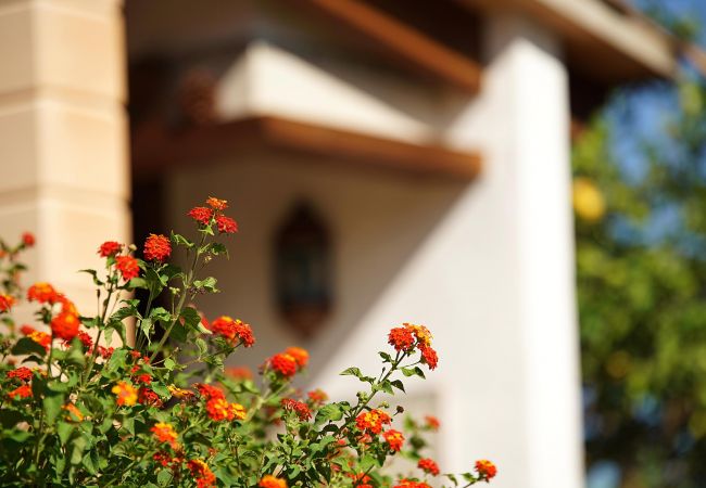 Villa in Pollensa / Pollença - Villa Moreno Villa in Pollensa / Pollença - Villa Moreno