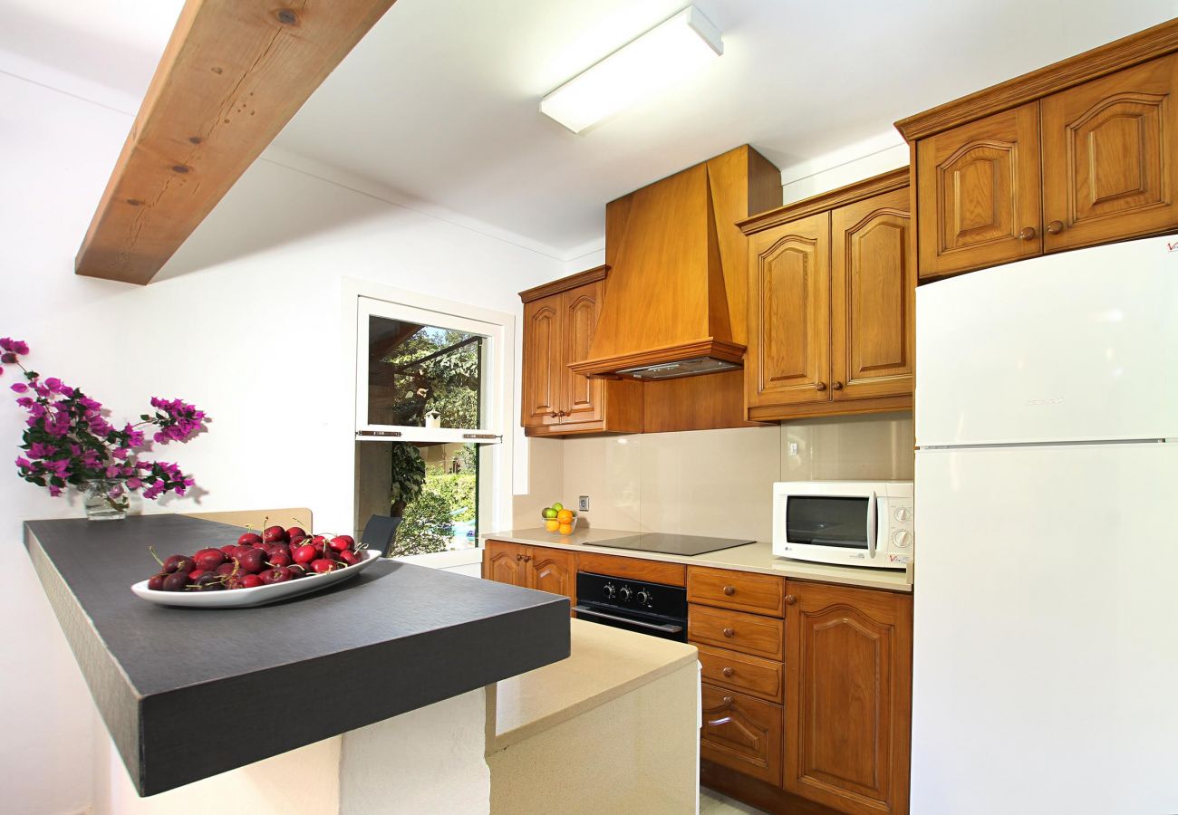 Villa Plana, kitchen