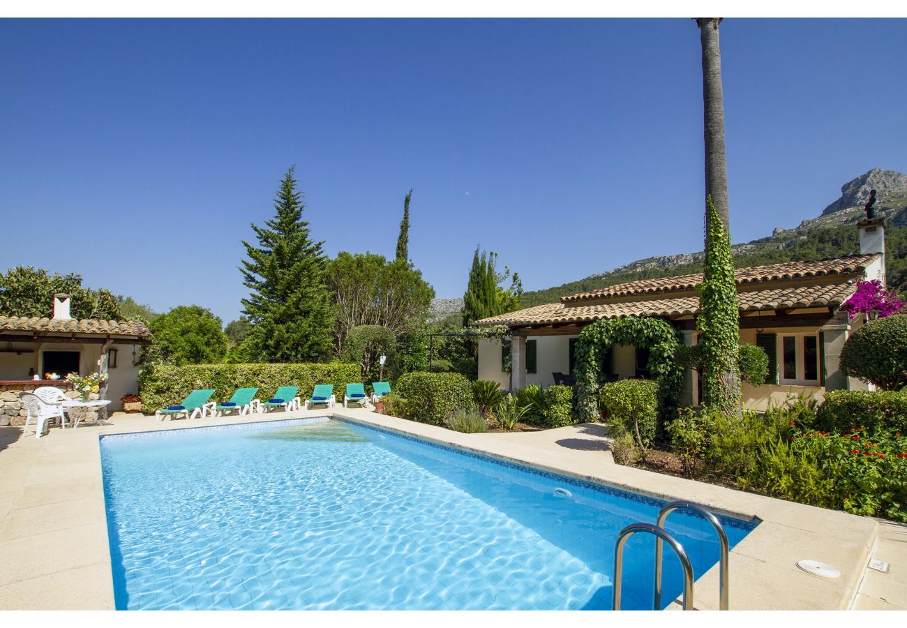 Villa Plana, swimming pool