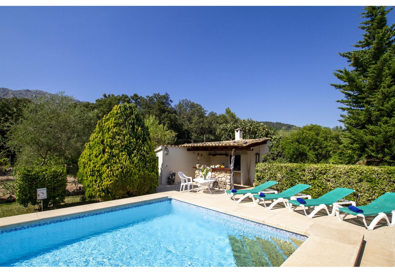 Villa Plana, swimming pool