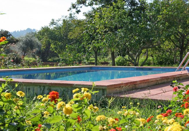 Villa in Pollensa / Pollença - Villa Punxa Villa in Pollensa / Pollença - Villa Punxa