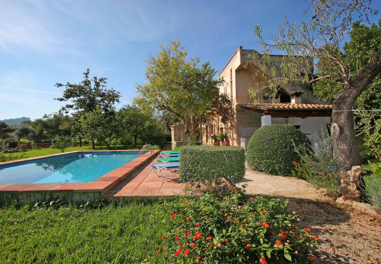 Villa Punxa, swimming pool