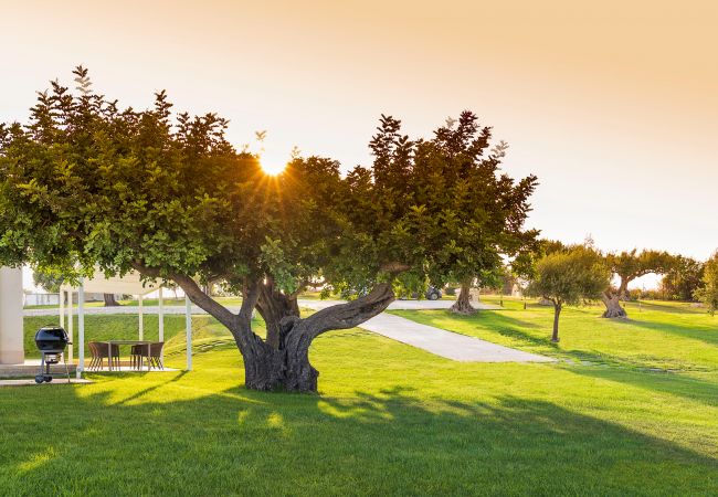 Villa in Noto - Colle Verde Villa in Noto - Colle Verde