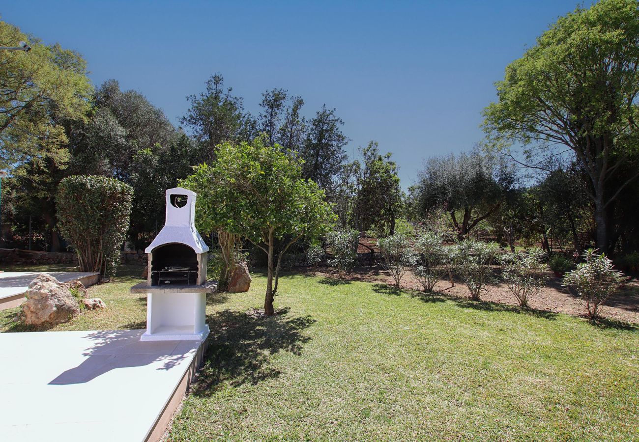 Villa in Pollensa / Pollença - Villa Alegre