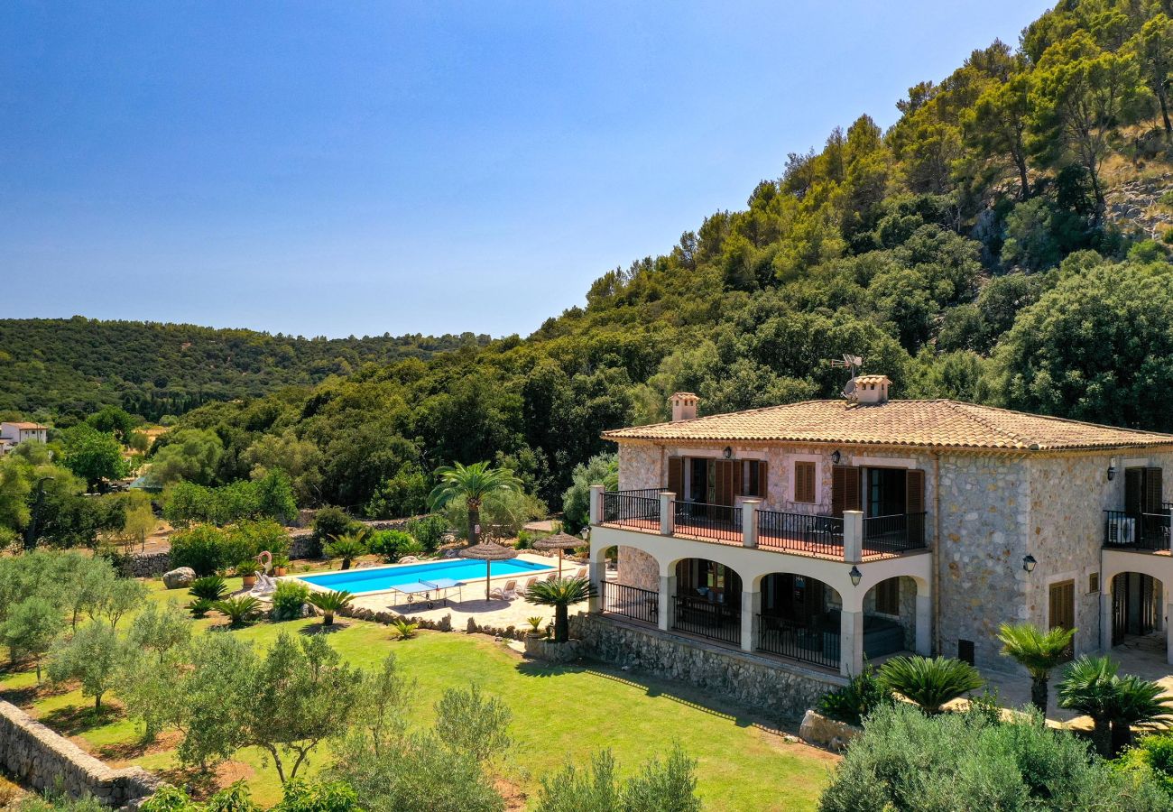 Villa in Pollensa / Pollença - Villa Plomera