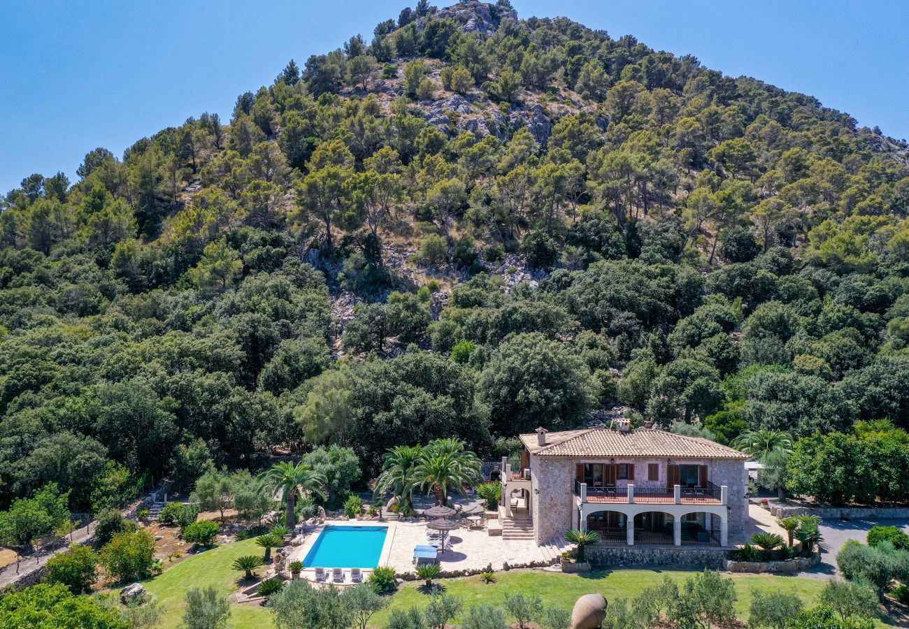 Villa in Pollensa / Pollença - Villa Plomera
