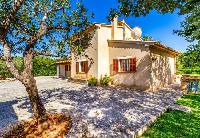 Villa in Pollensa / Pollença - Villa Rei Petit Villa in Pollensa / Pollença - Villa Rei Petit