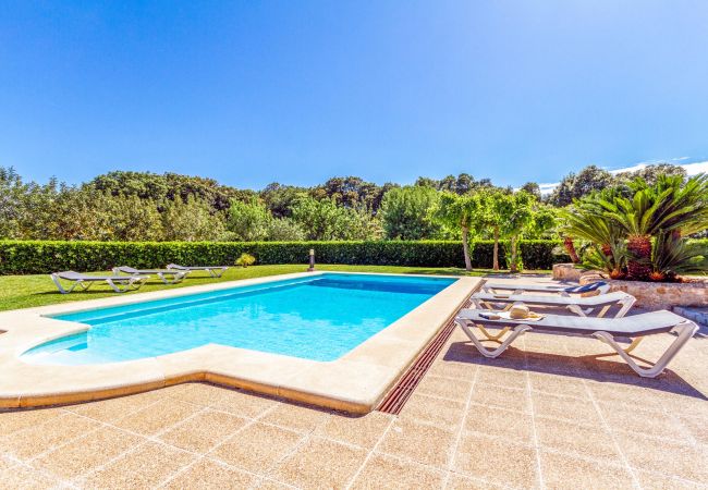 Villa in Pollensa / Pollença - Villa Rei Petit Villa in Pollensa / Pollença - Villa Rei Petit