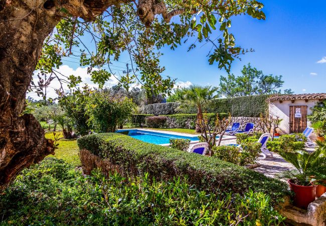 Villa in Pollensa / Pollença - Villa Martorell Villa in Pollensa / Pollença - Villa Martorell