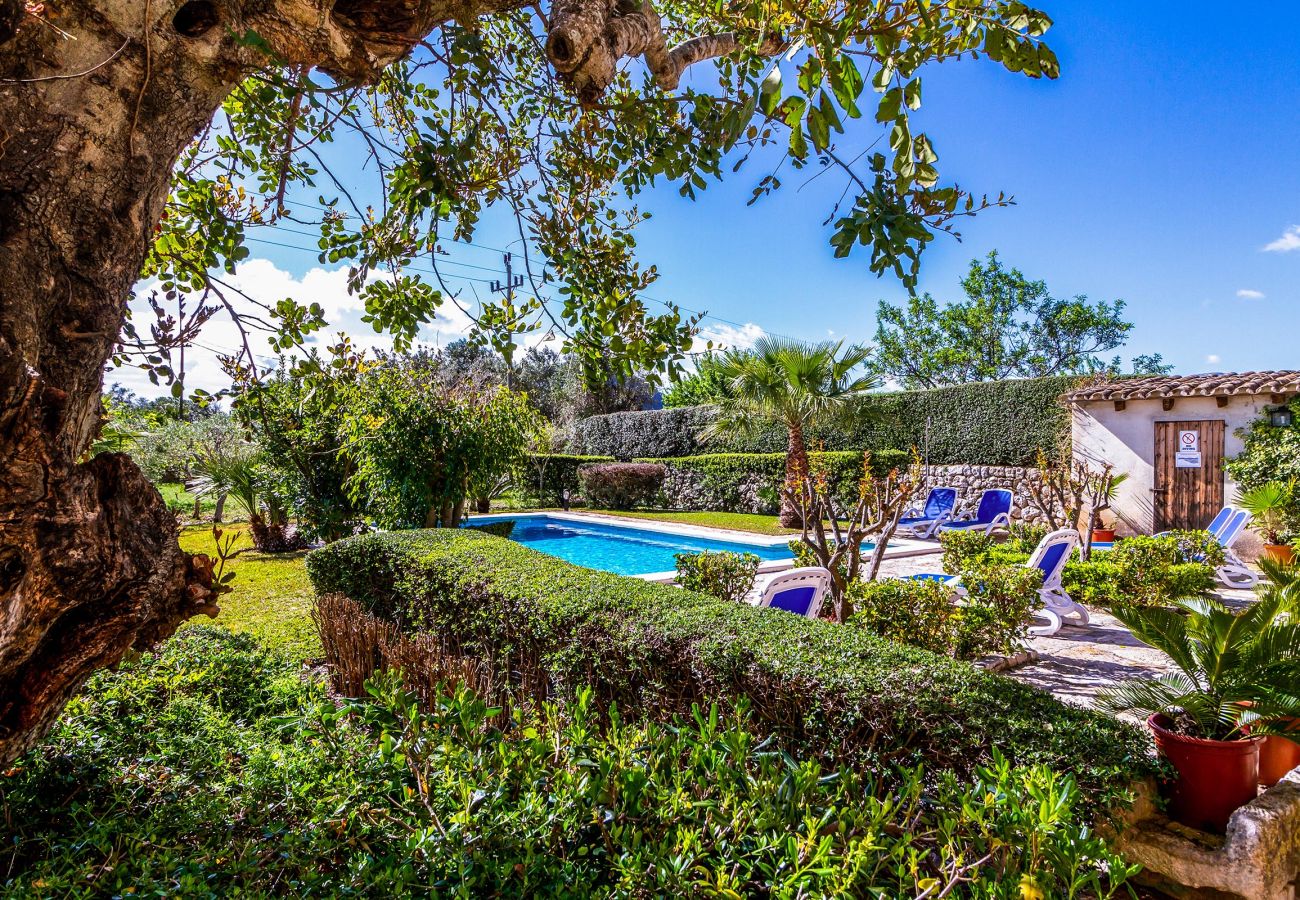 Villa in Pollensa / Pollença - Villa Martorell