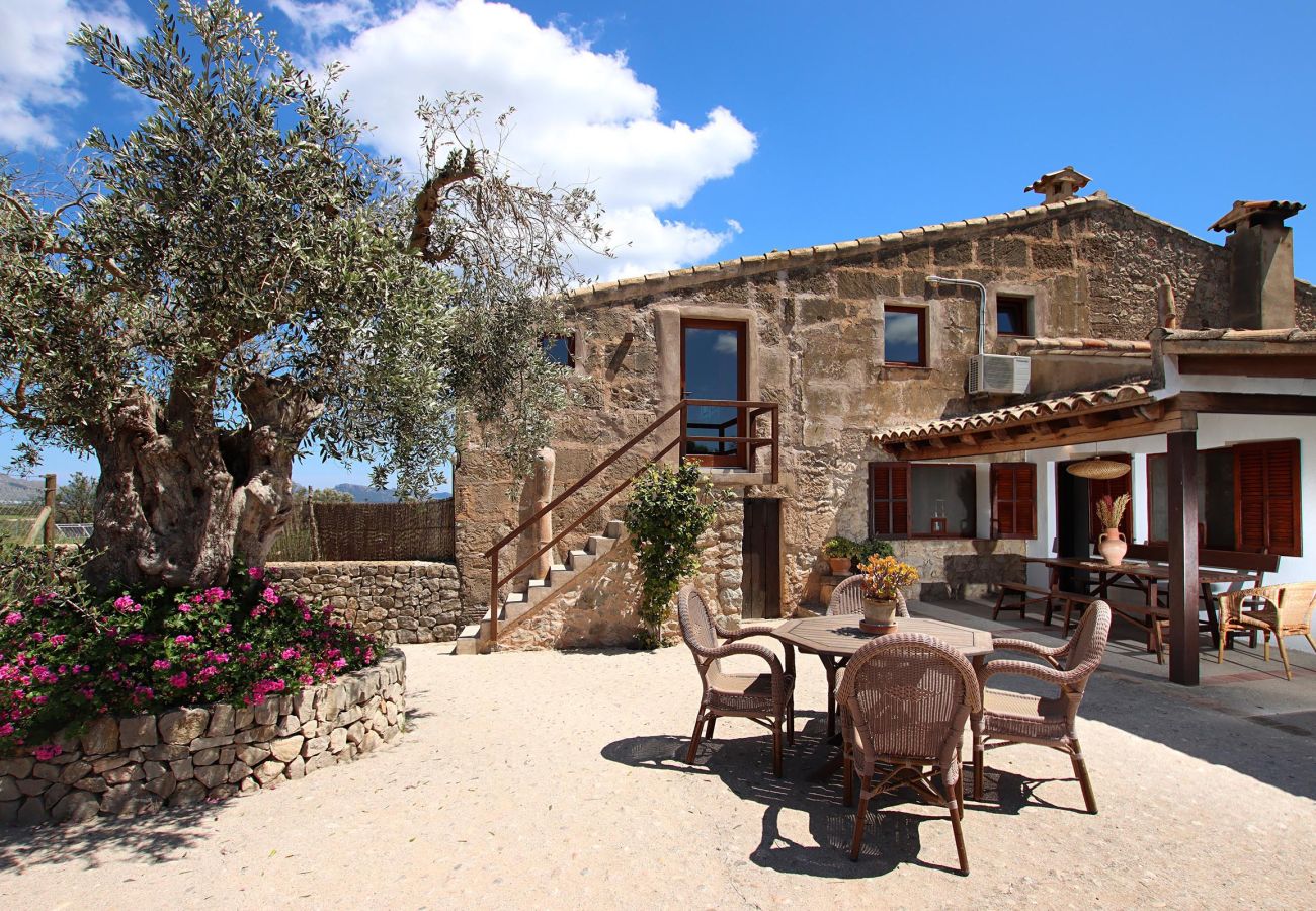 Villa in Alcudia - Villa Sou