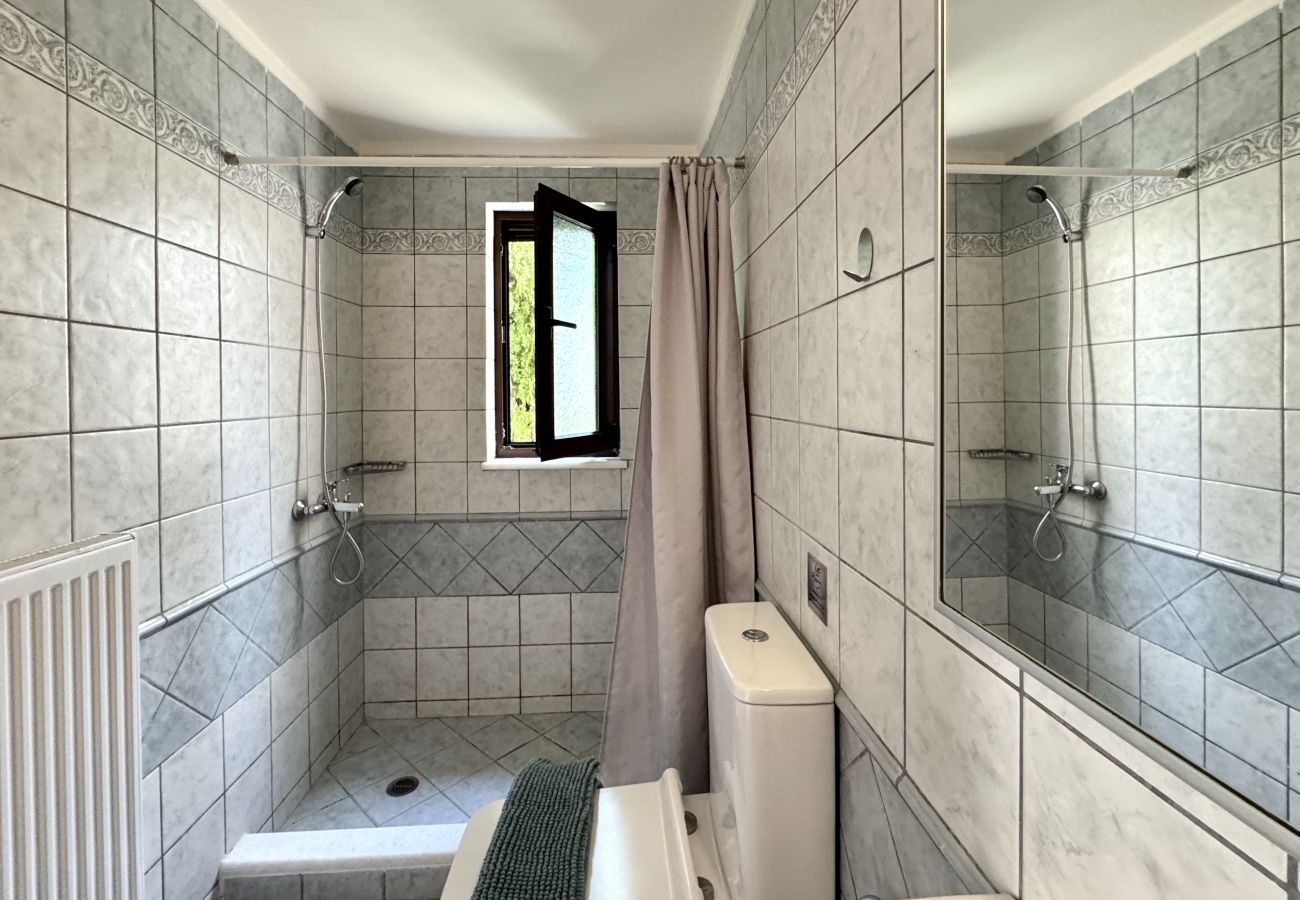 Villa in Gavalohori - Villa Metapothia