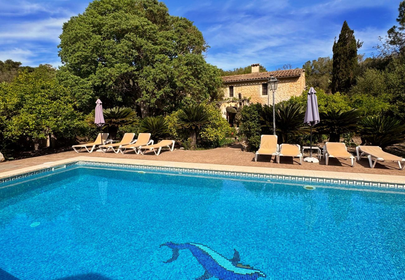Villa in Pollensa / Pollença - Hort Den Gelos