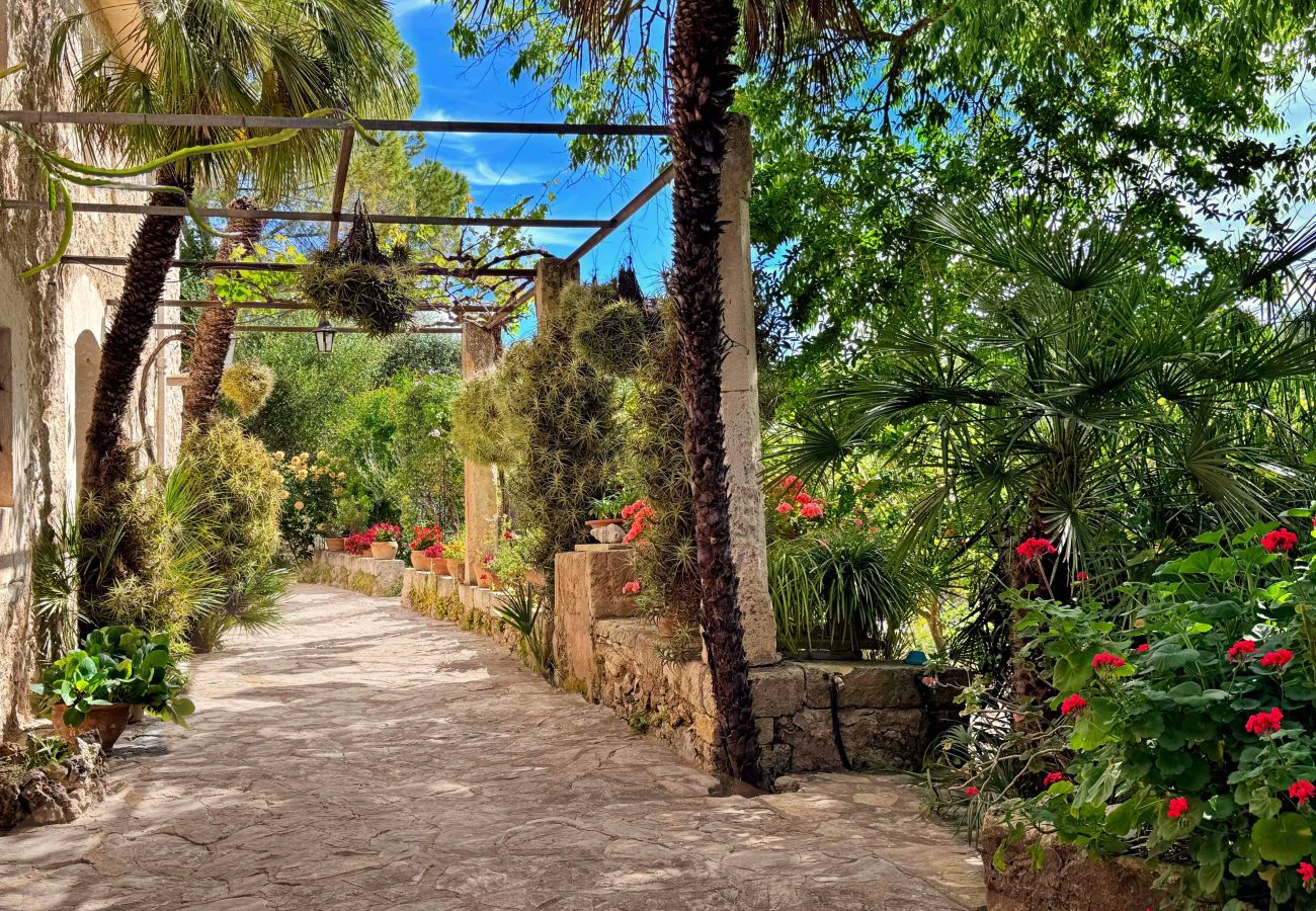 Villa in Pollensa / Pollença - Hort Den Gelos