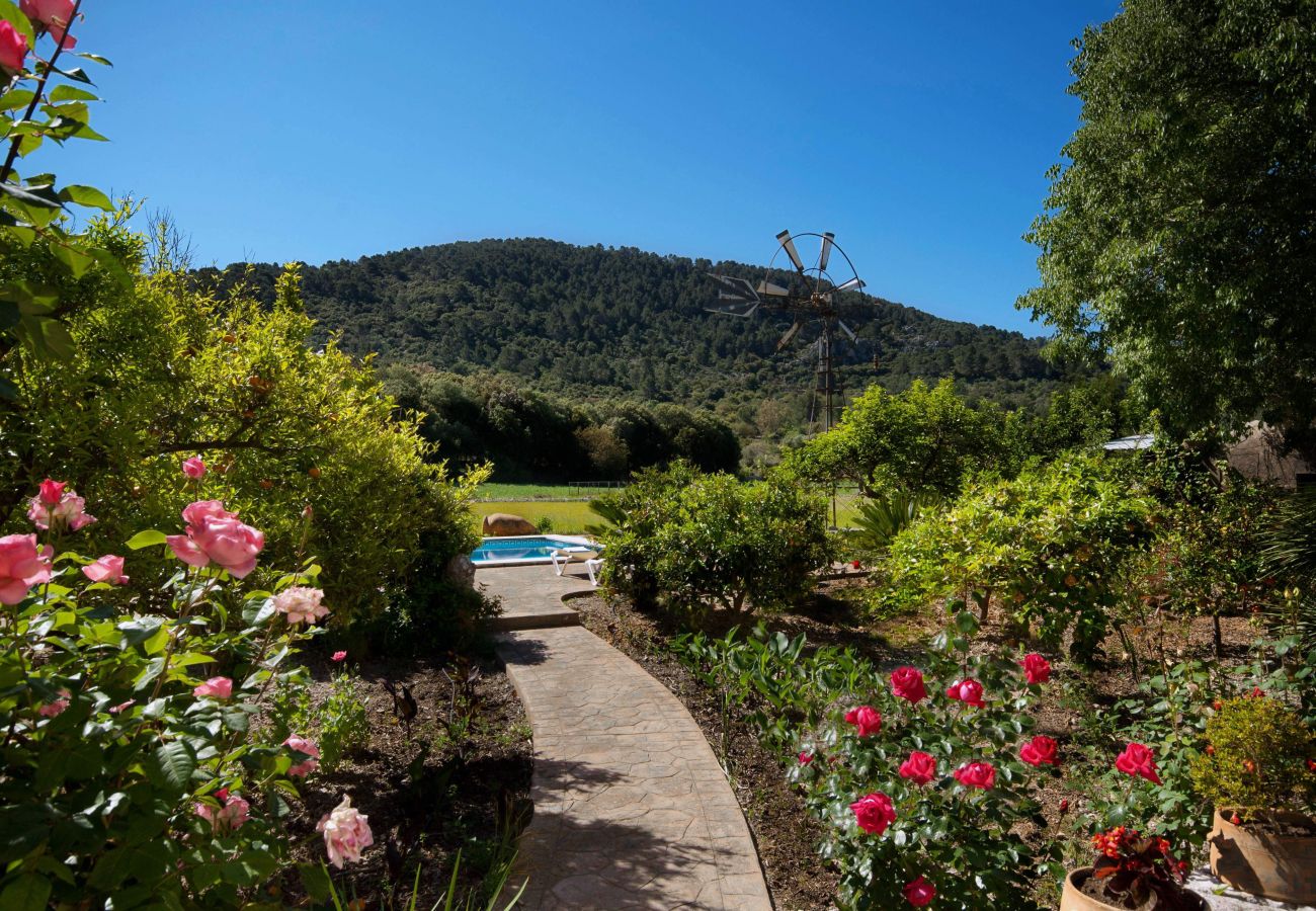 Villa in Pollensa / Pollença - Hort Den Gelos