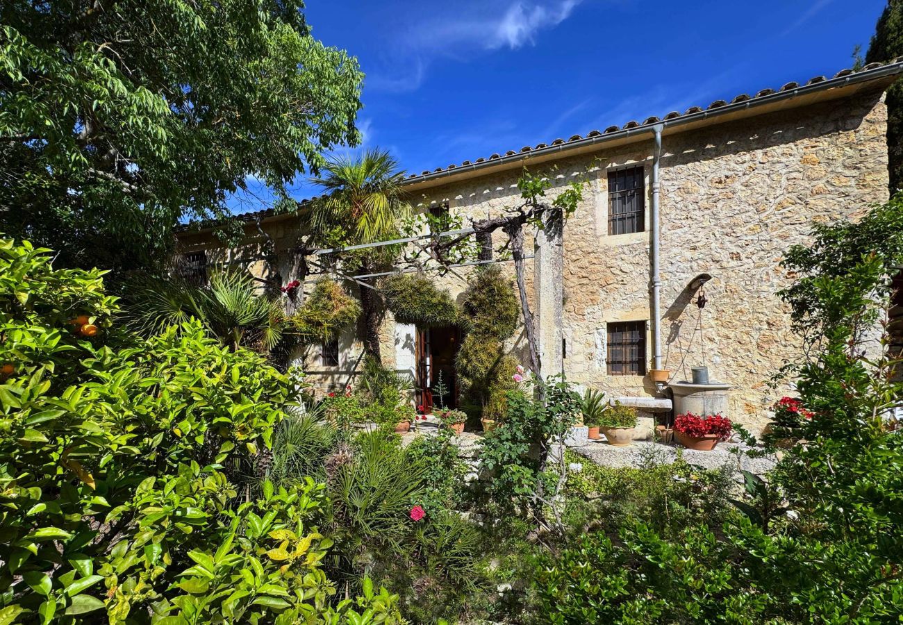 Villa in Pollensa / Pollença - Hort Den Gelos