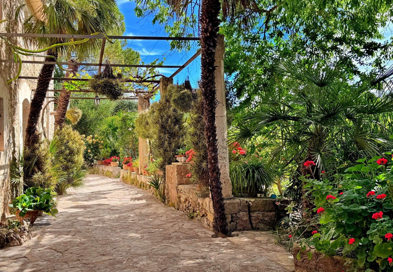 Villa in Pollensa / Pollença - Hort Den Gelos
