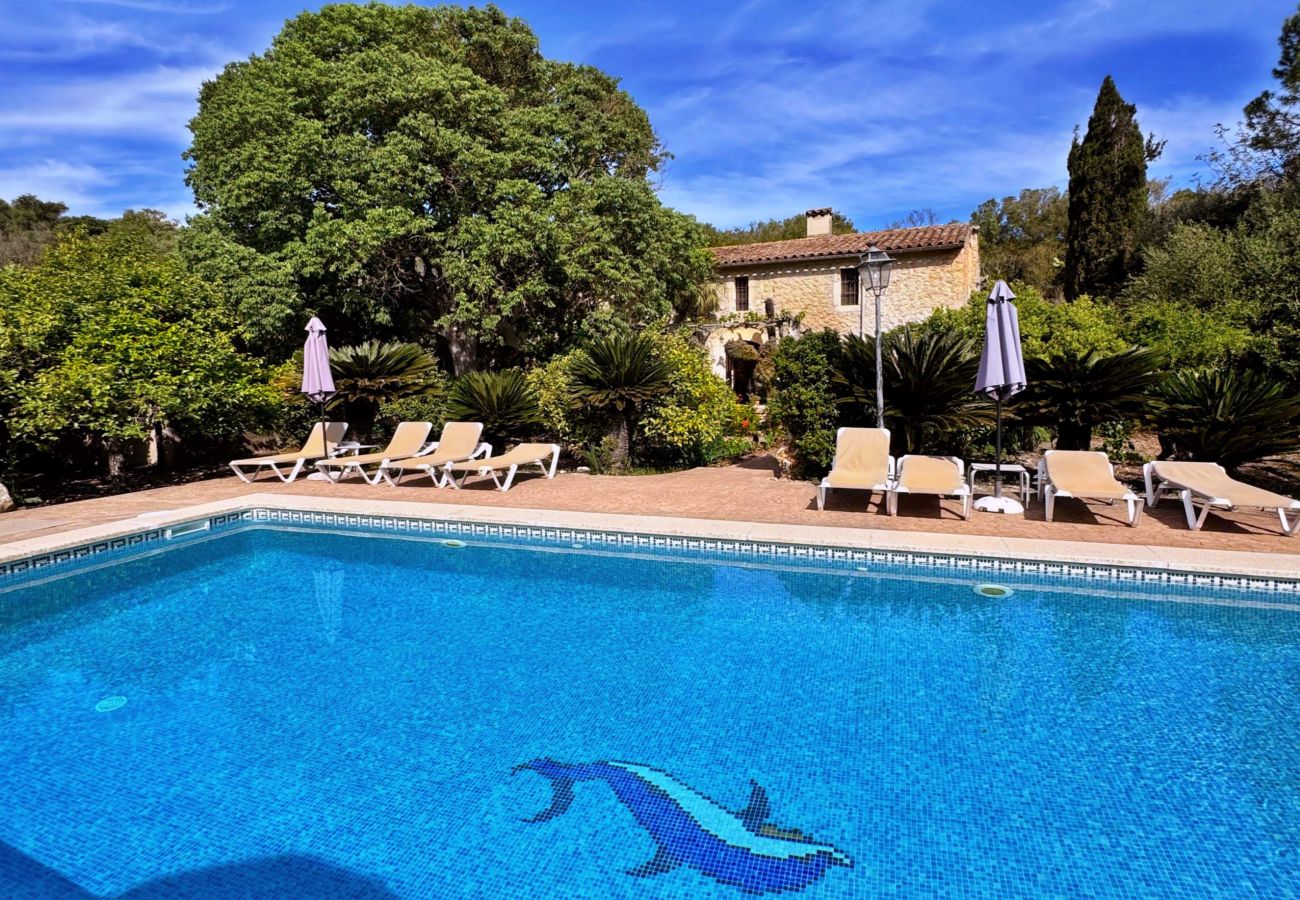 Villa in Pollensa / Pollença - Hort Den Gelos