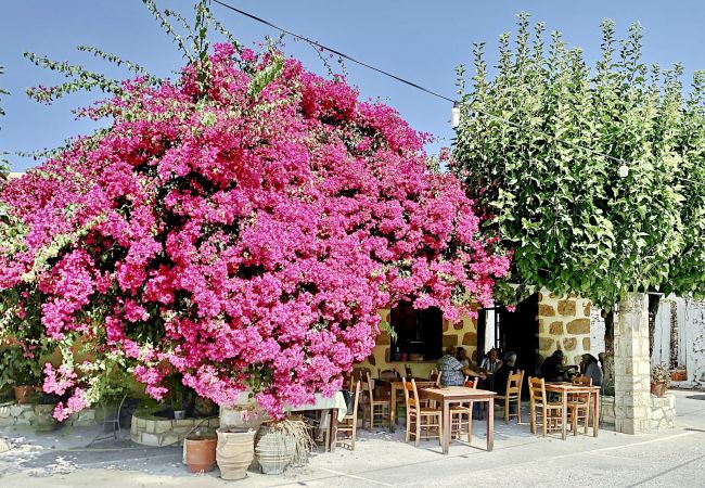 Villa in Vrises - Villa Artemis Villa in Vrises - Villa Artemis